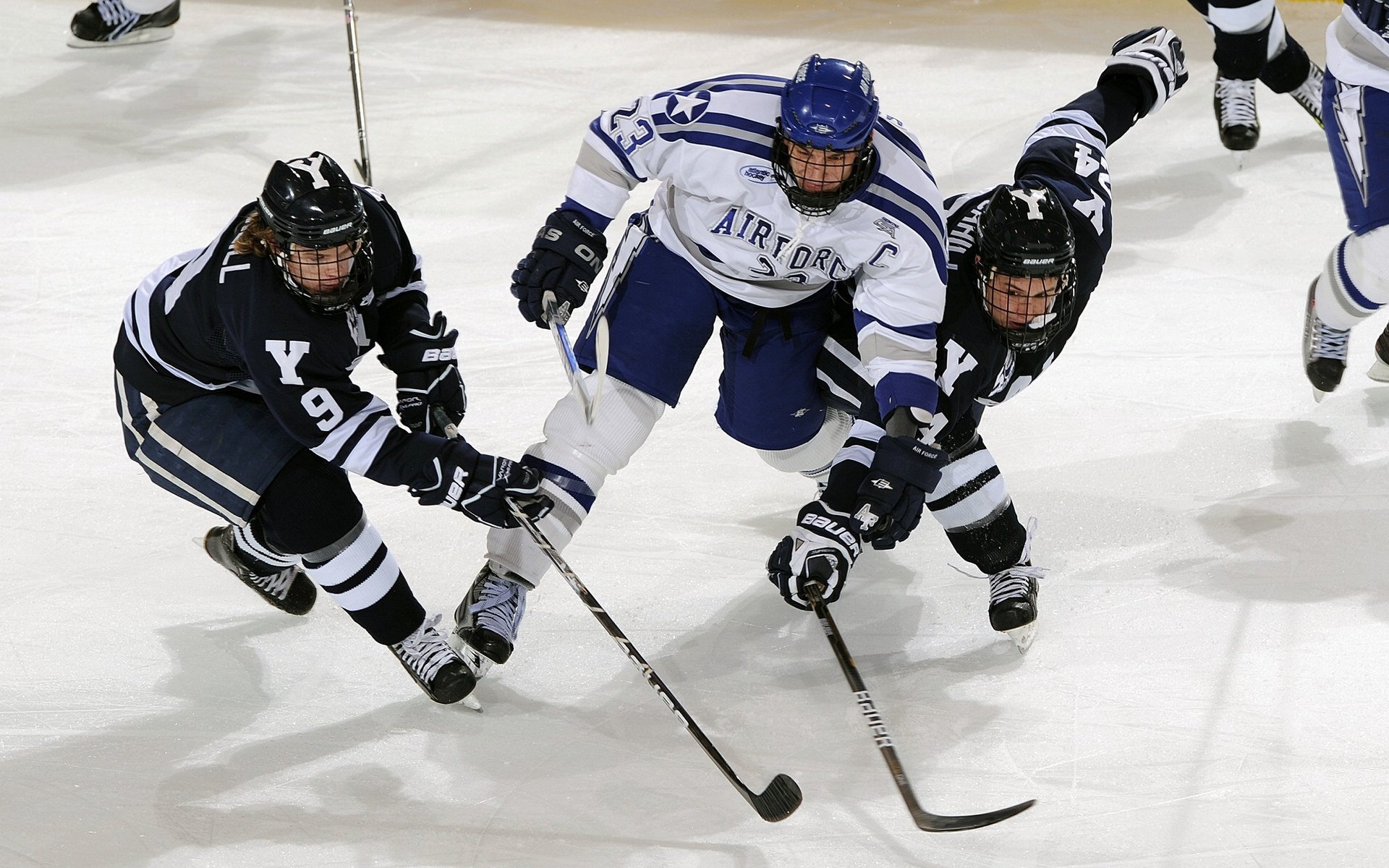 球员体能追踪：运动数据驱动的训练革新，百度体育球员能力图