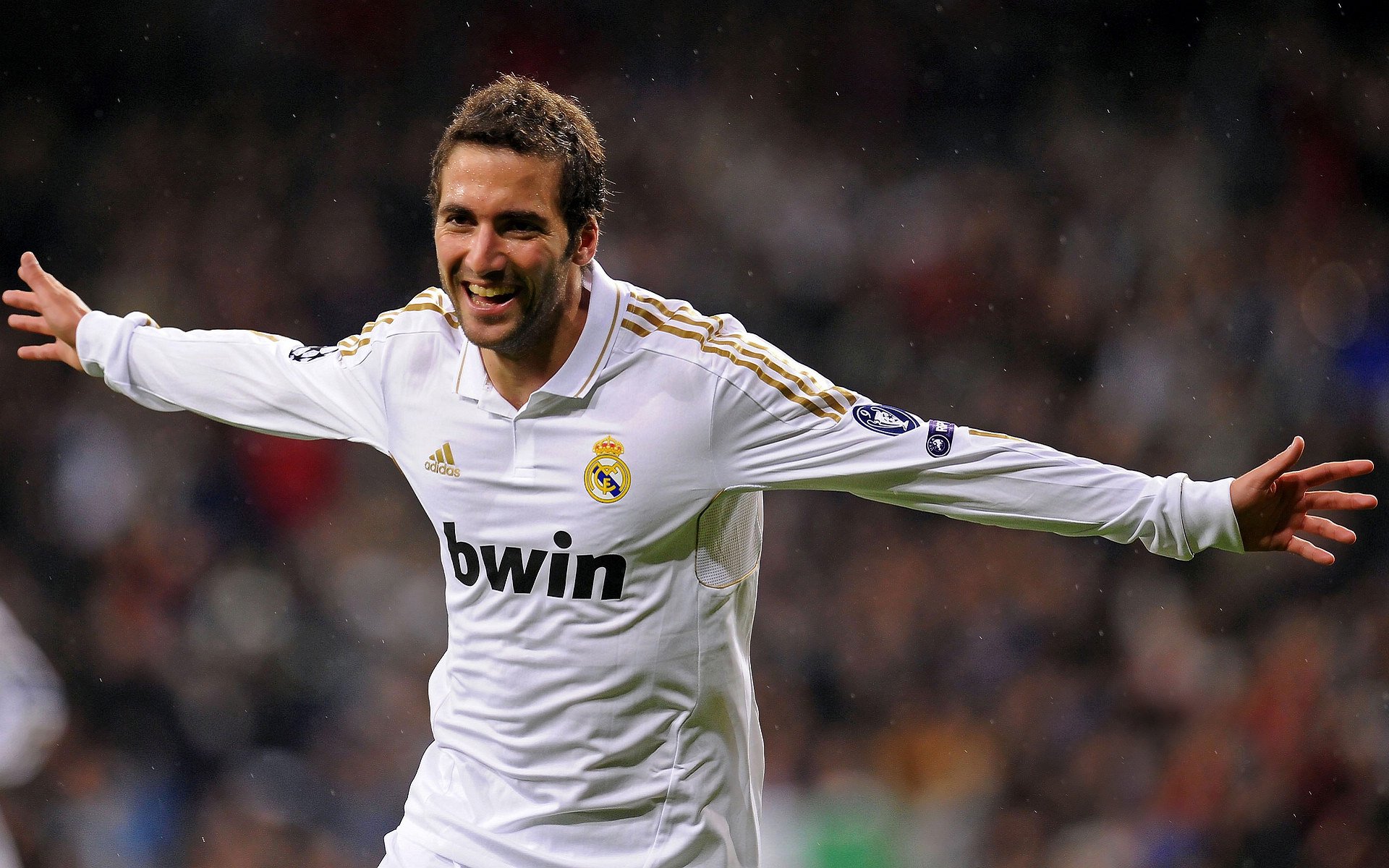 德甲球场基础设施升级对观众满意度影响,德甲球场标准